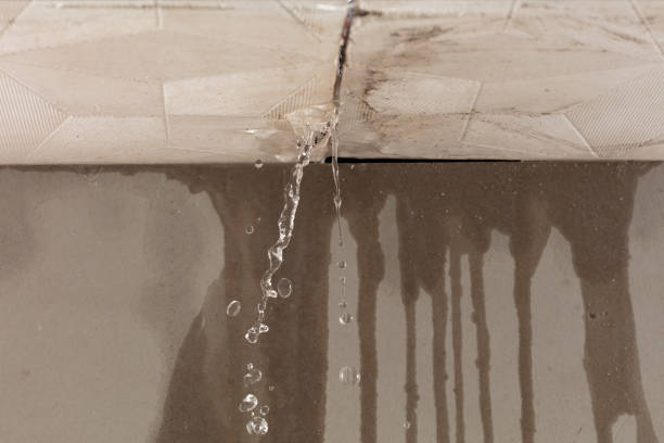 Professional Structural Drying technician working in Eastport, NY